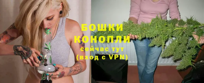 OMG маркетплейс  Кяхта  Каннабис сатива 